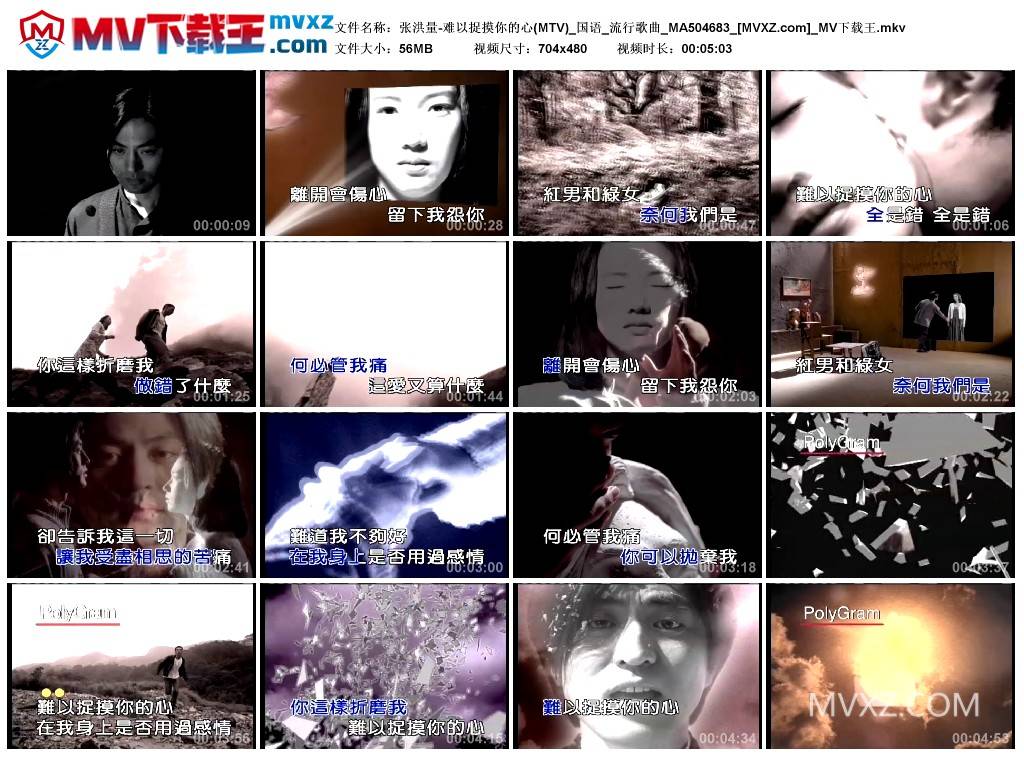 张洪量-难以捉摸你的心(MTV)_国语_流行歌曲_MA504683